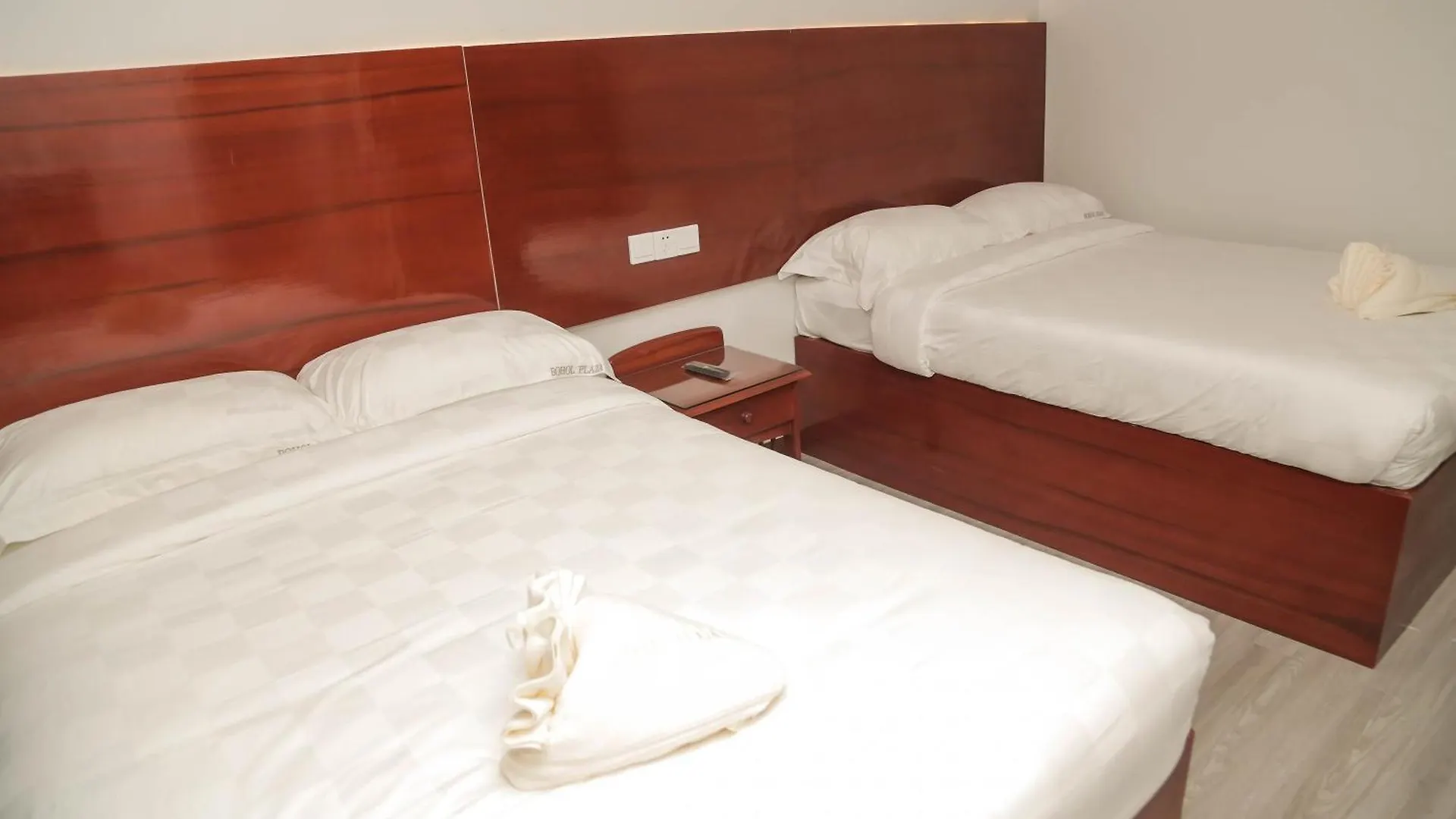 Bohol Plaza Mountain Resort And Restaurant داويس 3*,